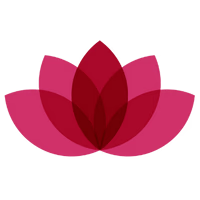 Optimism Corporation Logo